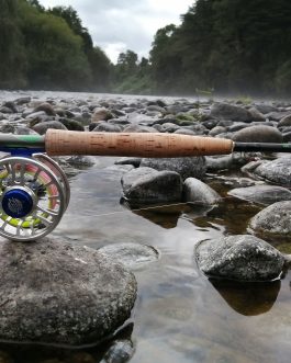 Caña Maxia SX #3